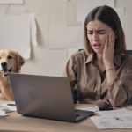 A frustrated business woman working from home on a video conferencing call with a Labrador dog barking in the background